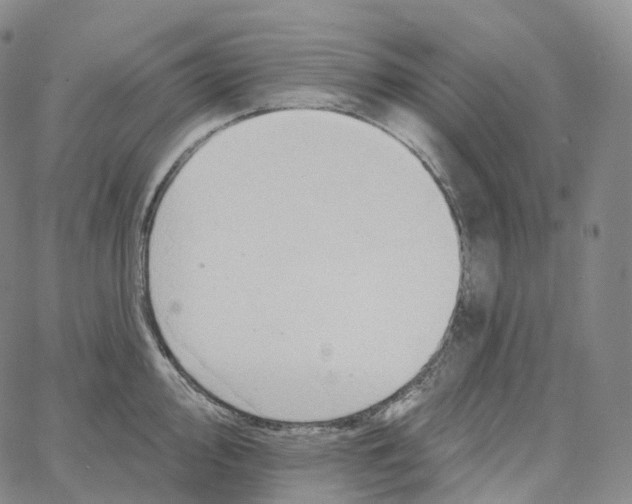 X0000062641000200601181740