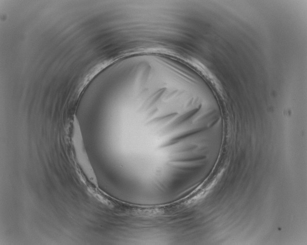 X0000062641001200601181740