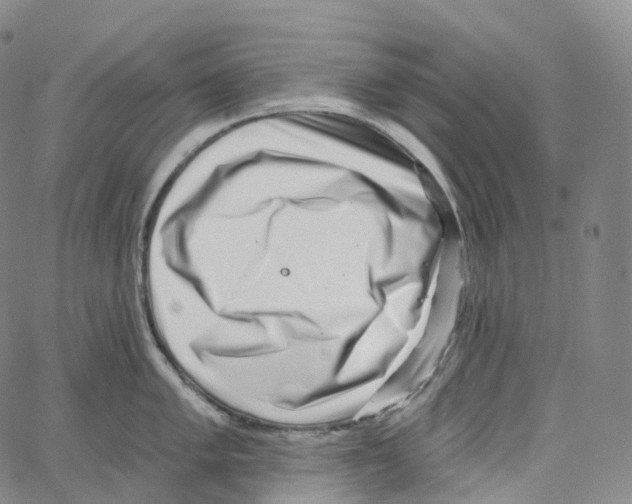 X0000062641005200601181740