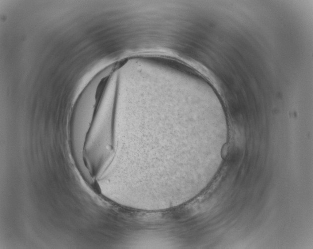 X0000062641006200601181740