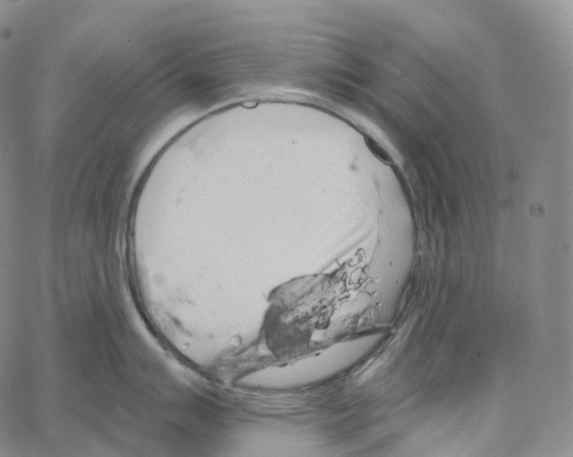 X0000062641007200601181740