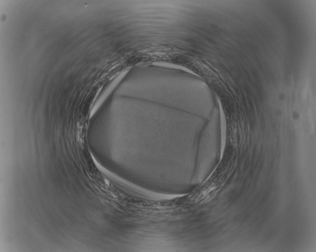 X0000062641010200601181739