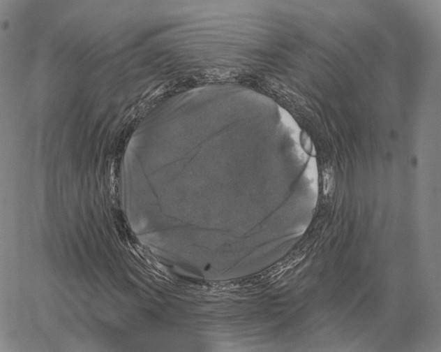 X0000062641011200601181739