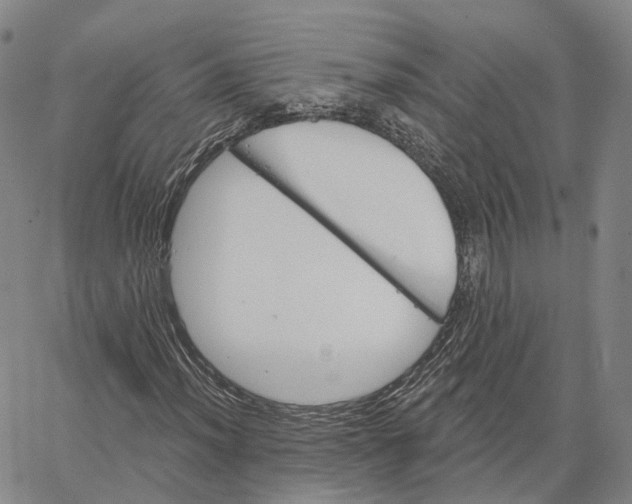 X0000062641012200601181739