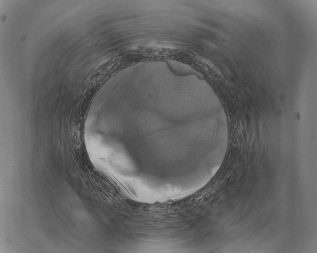 X0000062641013200601181739