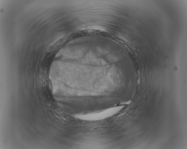 X0000062641014200601181739