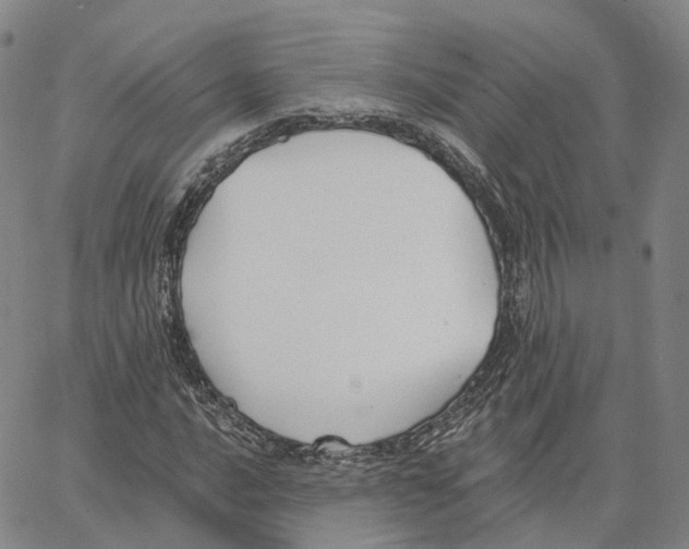 X0000062641016200601181739