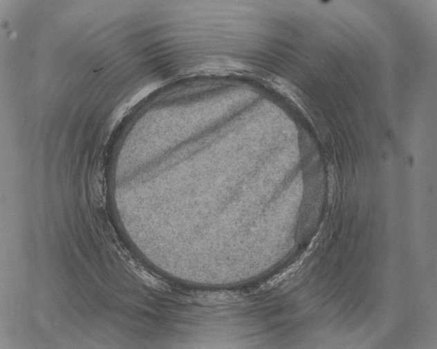 X0000062641018200601181739