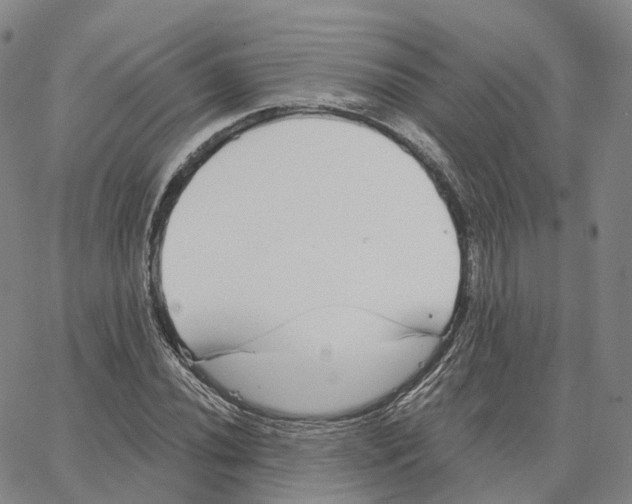 X0000062641020200601181739