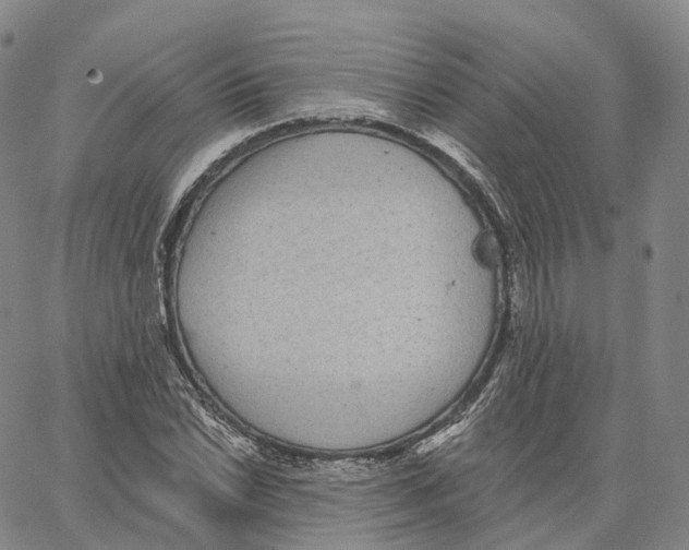 X0000062641022200601181739