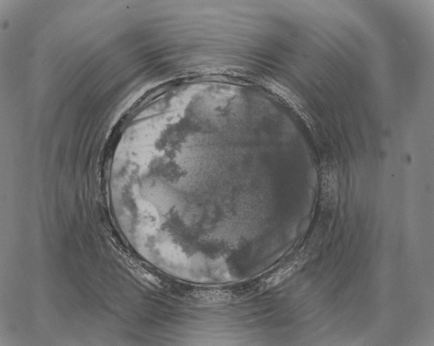 X0000062641023200601181739