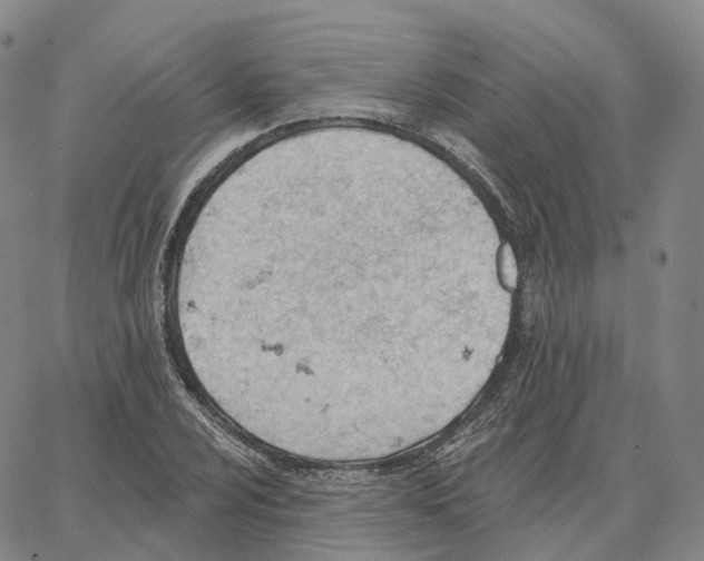 X0000062641024200601181739