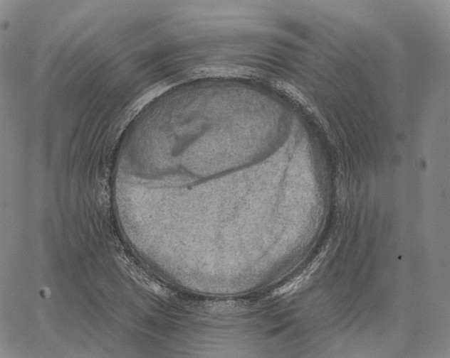 X0000062641025200601181739