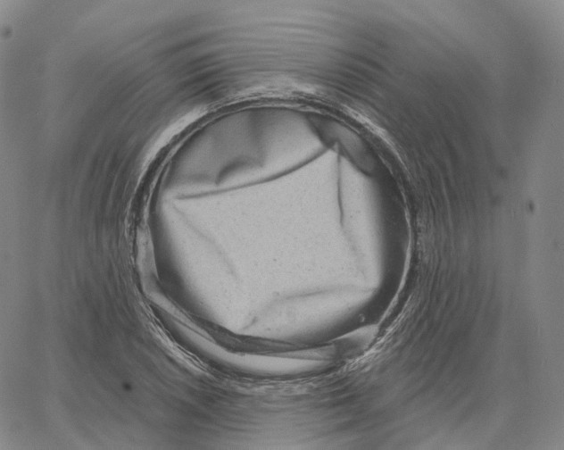 X0000062641026200601181739