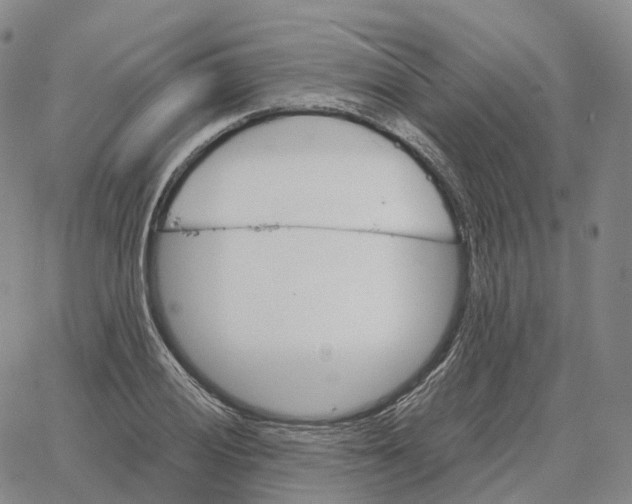 X0000062641028200601181739