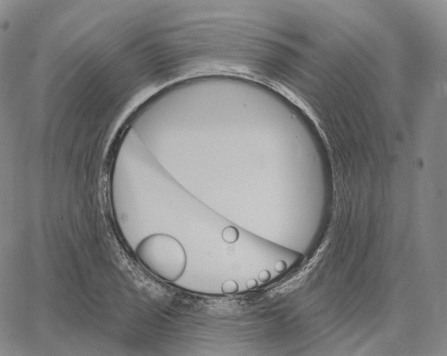 X0000062641029200601181739