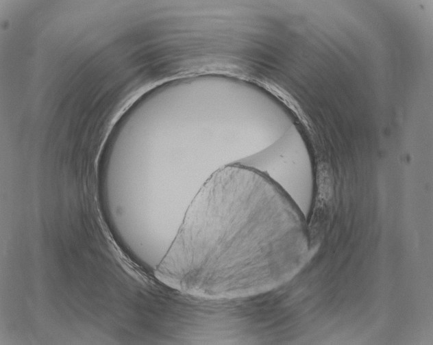 X0000062641031200601181739