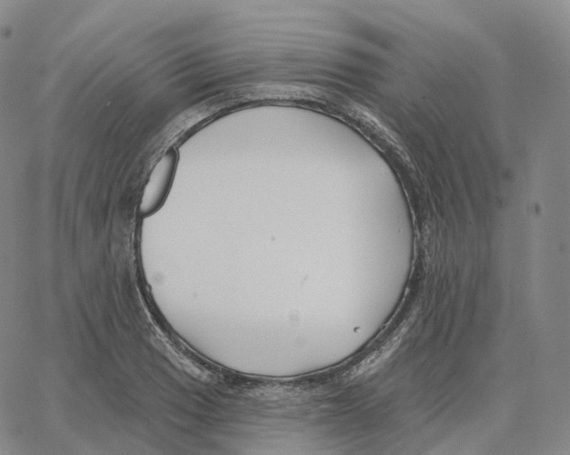 X0000062641033200601181739