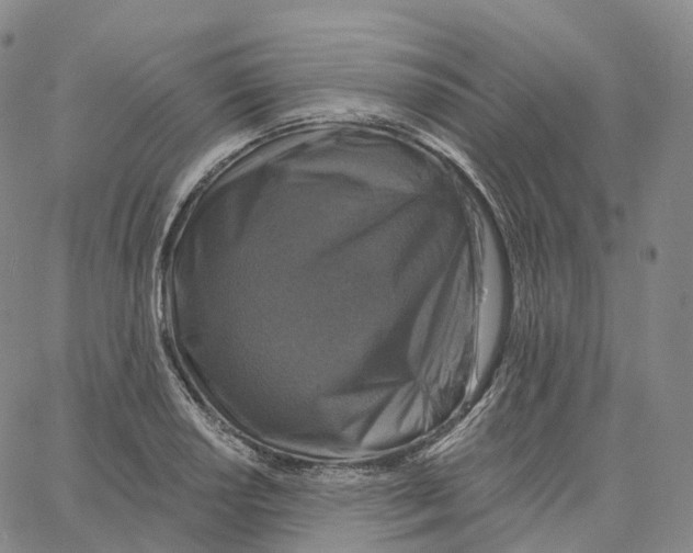 X0000062641034200601181740