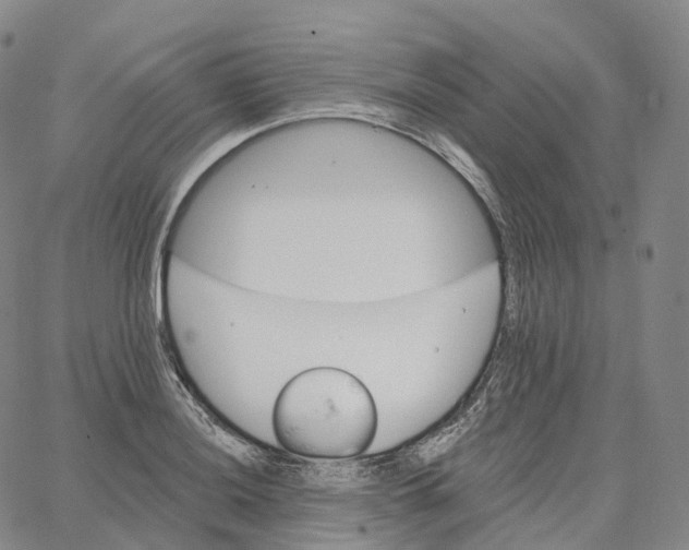 X0000062641036200601181740