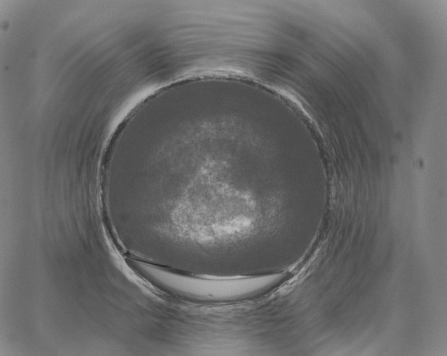 X0000062641038200601181740