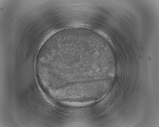 X0000062641039200601181740