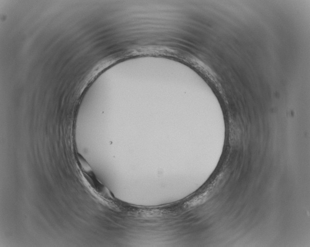 X0000062641041200601181740