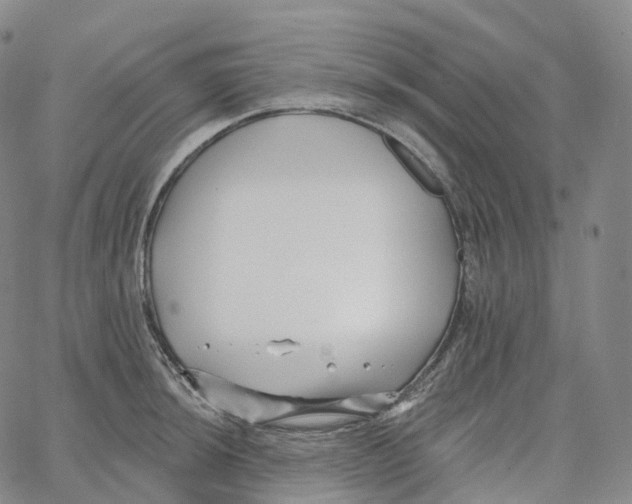 X0000062641044200601181740