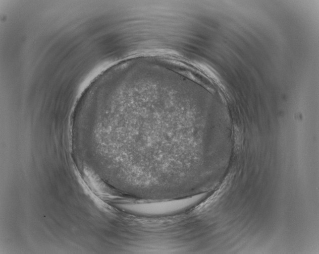 X0000062641046200601181740