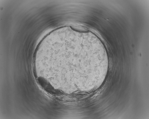 X0000062641048200601181740