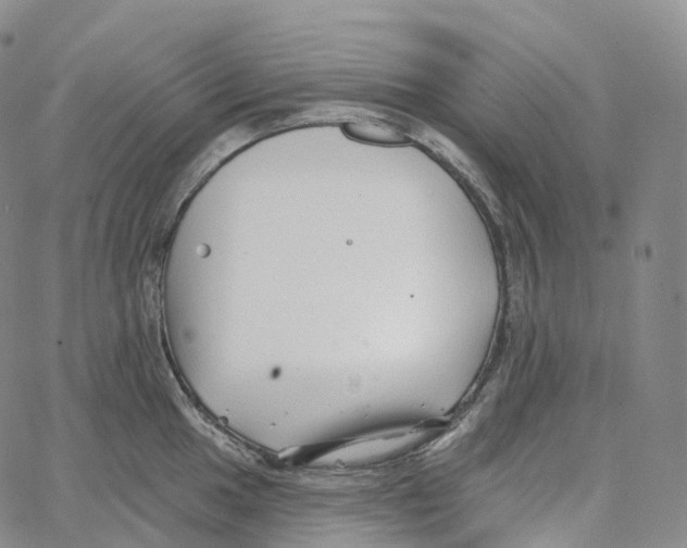 X0000062641049200601181740