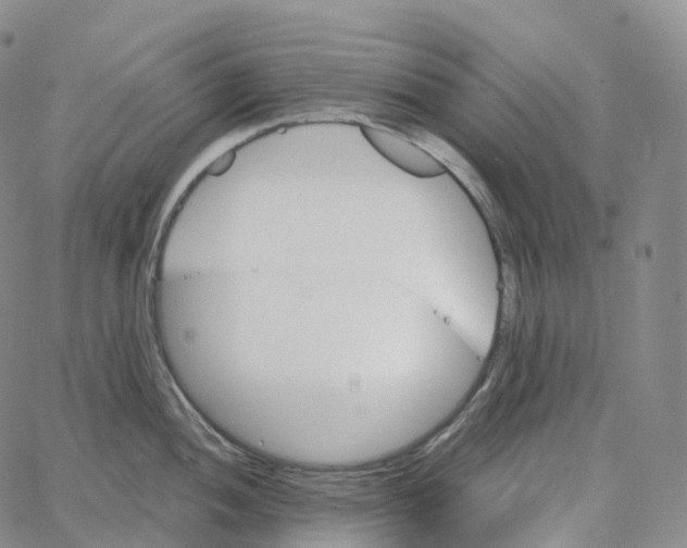 X0000062641052200601181740