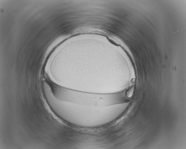 X0000062641053200601181740