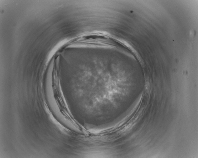 X0000062641054200601181740