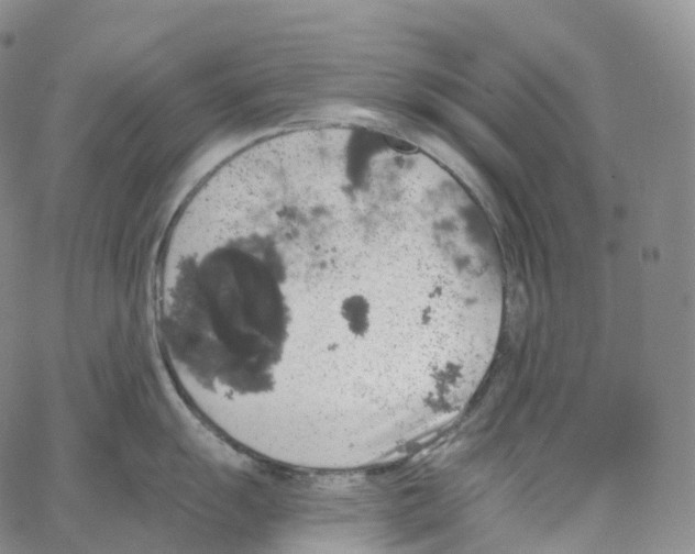 X0000062641055200601181740