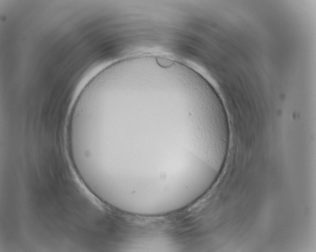 X0000062641056200601181740