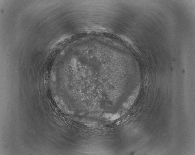 X0000062641063200601181739