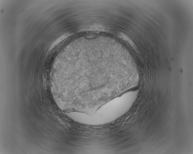 X0000062641064200601181739