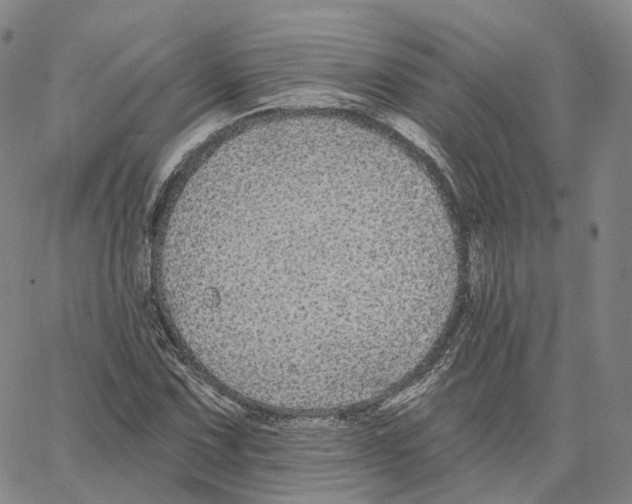 X0000062641067200601181739