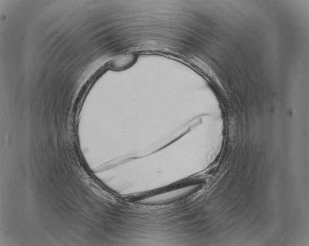 X0000062641068200601181739