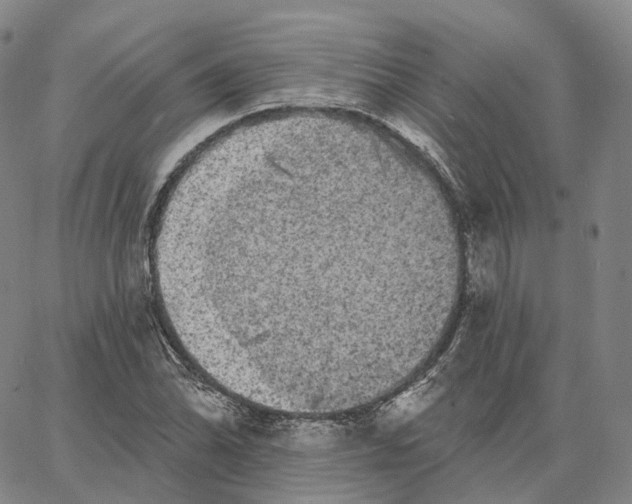 X0000062641070200601181739