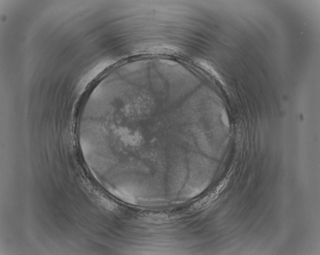 X0000062641071200601181739