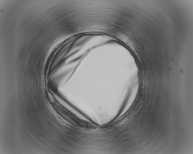 X0000062641072200601181739