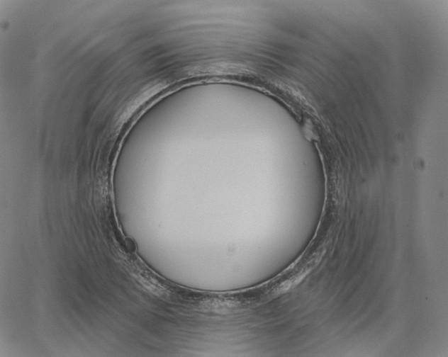 X0000062641073200601181739