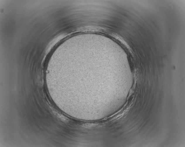 X0000062641075200601181739