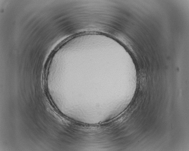 X0000062641076200601181739