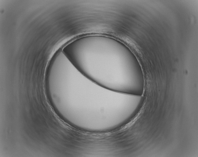 X0000062641077200601181739