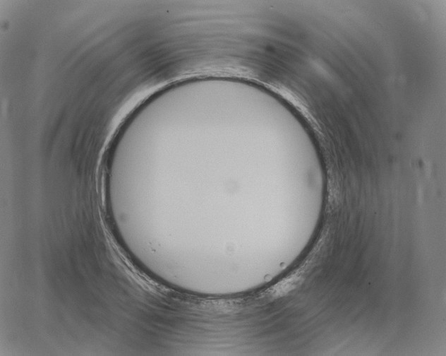 X0000062641078200601181739