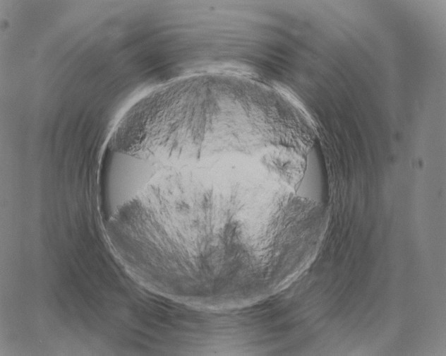 X0000062641079200601181739