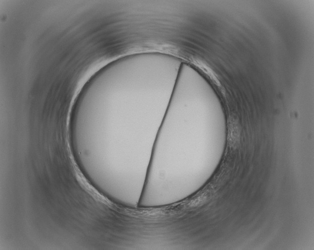 X0000062641080200601181739